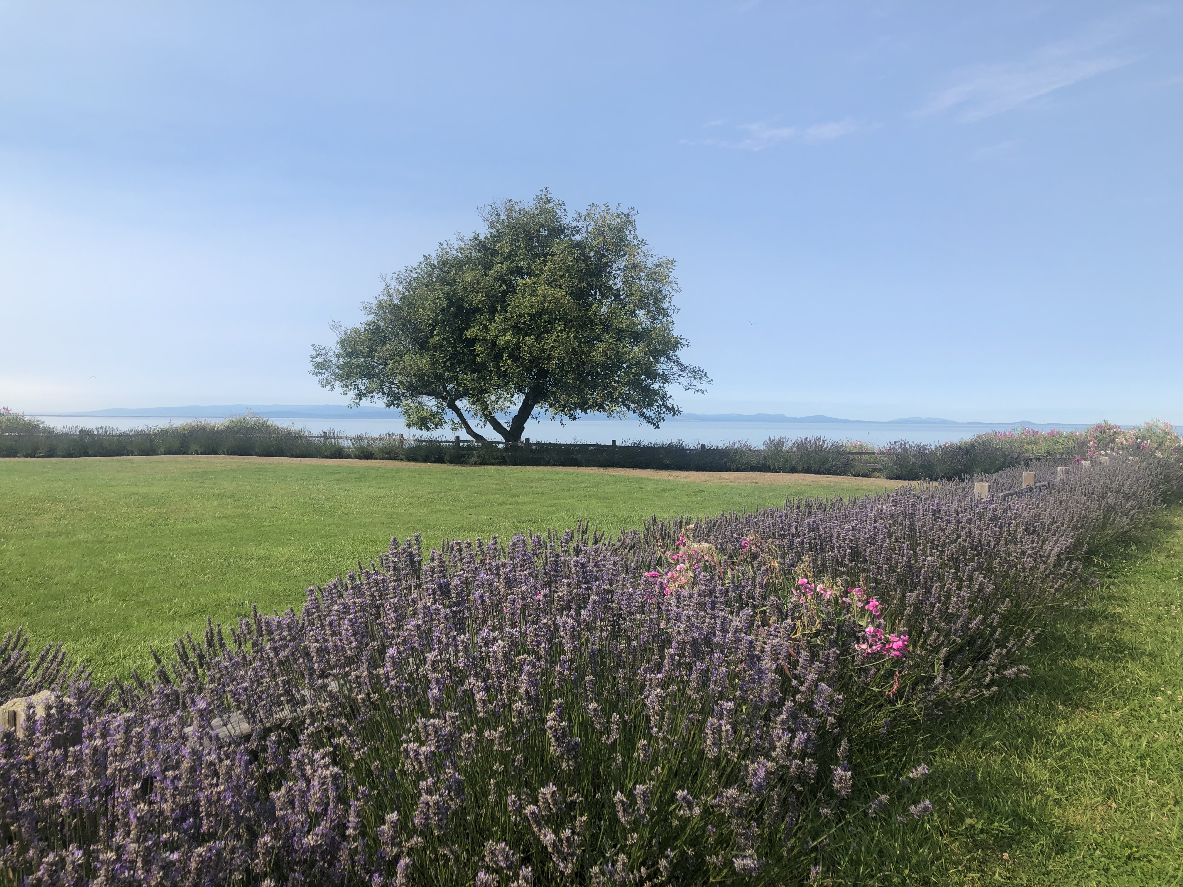 C079ABE1-68B4-442C-A382-C0E20C9A6864